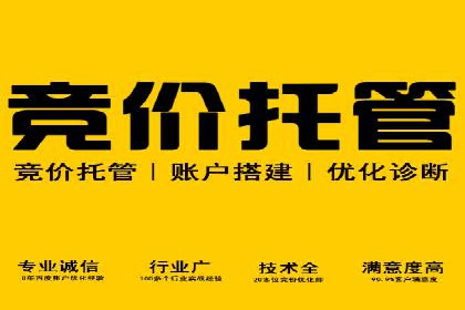 竞价代运营成功案例：助力企业抢占市场份额
